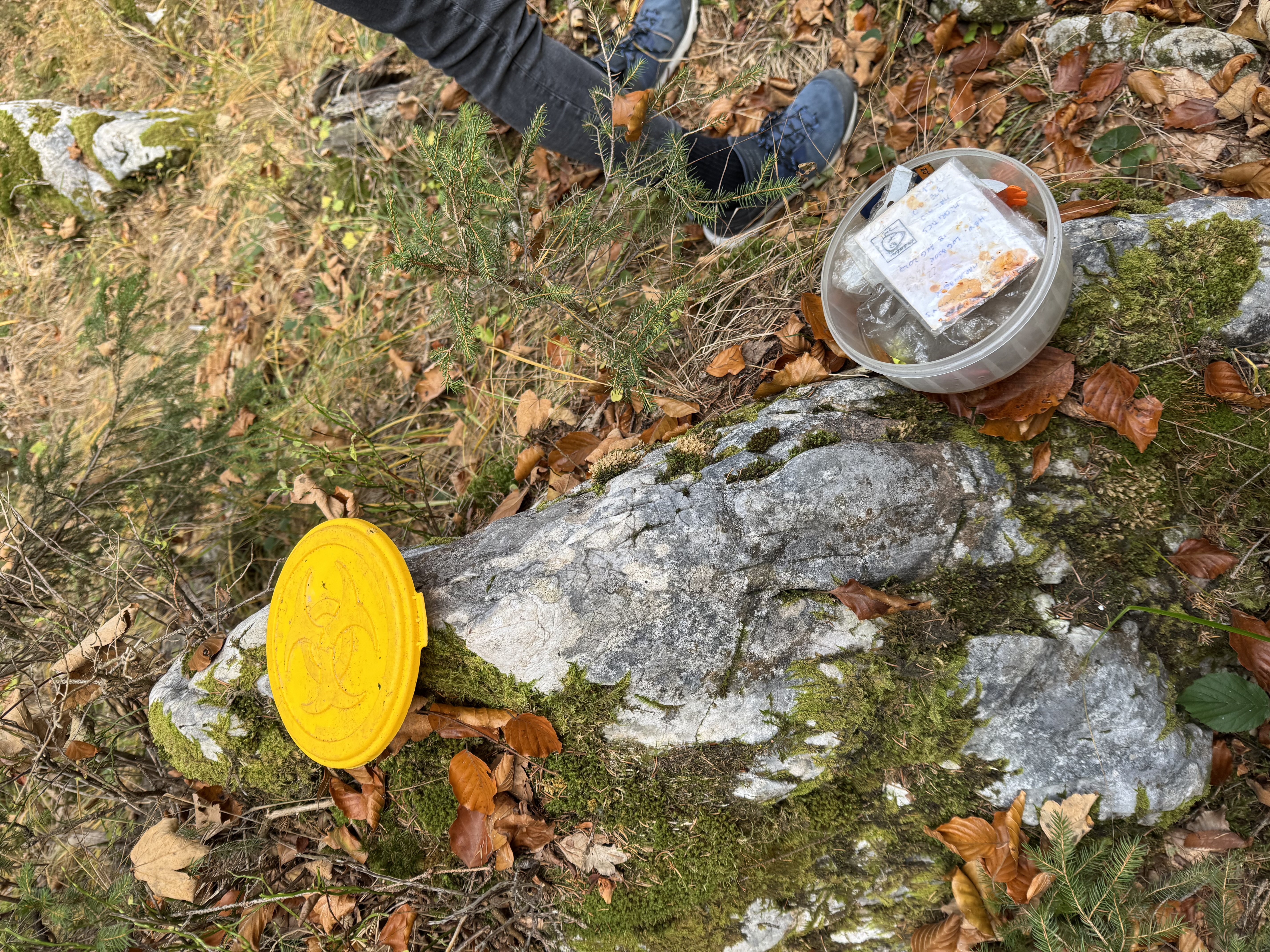Geocache