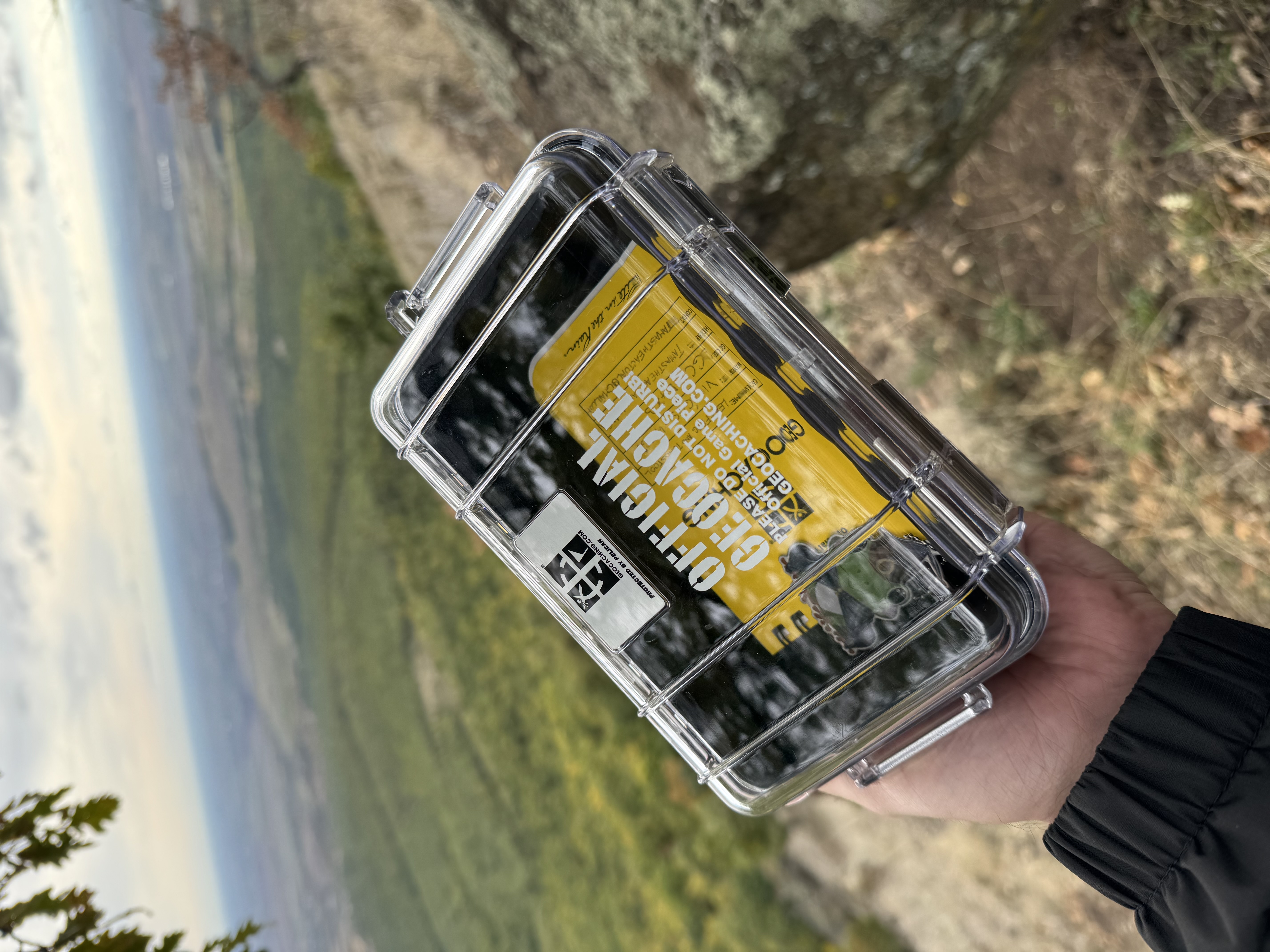 The geocache with the ring inside