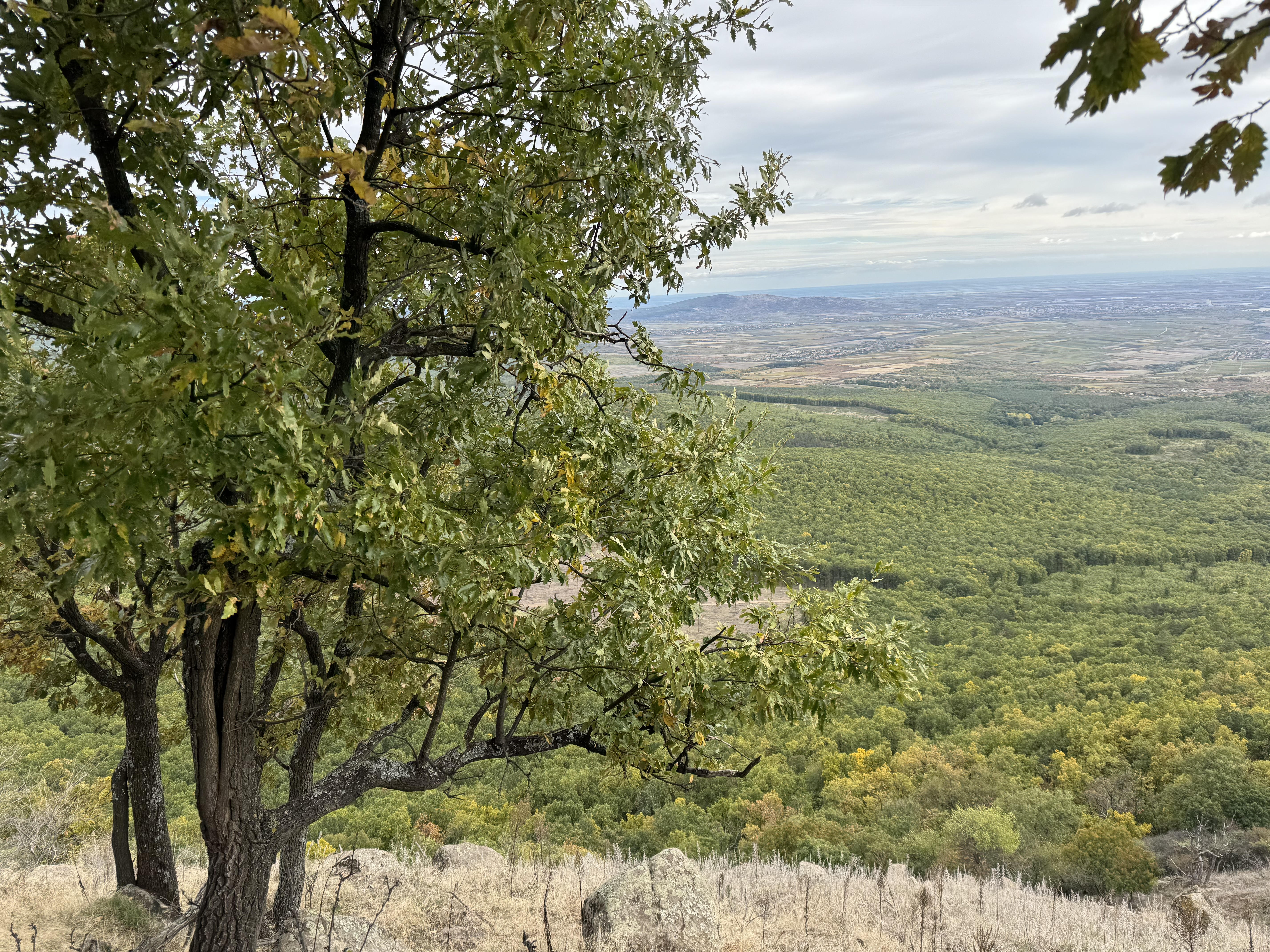 The view from Világos-hegy summit